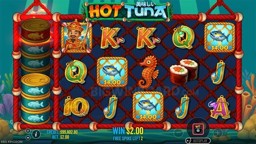 Understanding Roobet Crash Multipliers